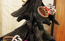 DSCN0929